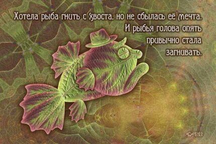 Рыбья Мечта
